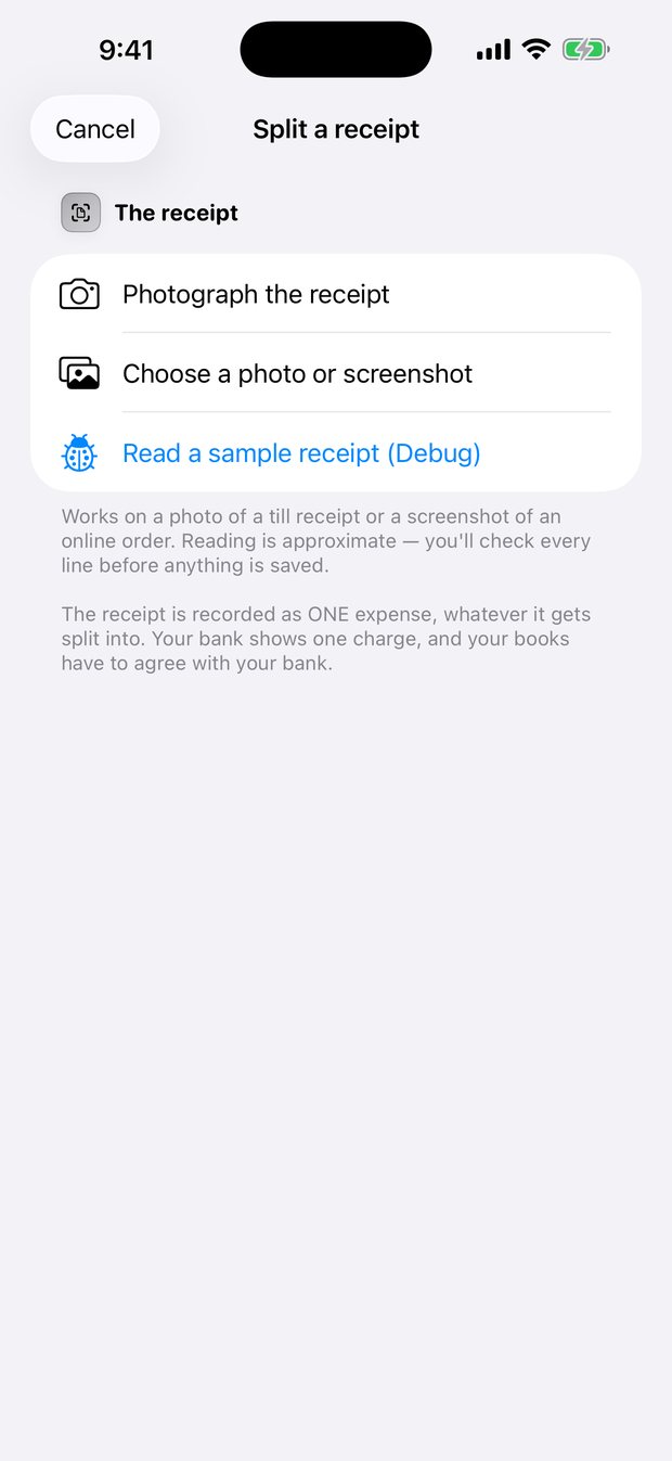Simple Finance on iPhone