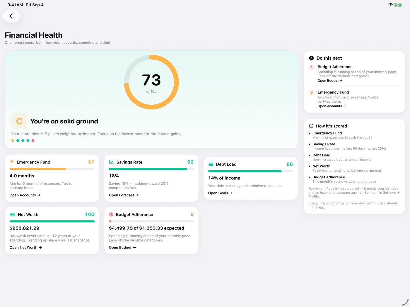 Simple Finance on iPad