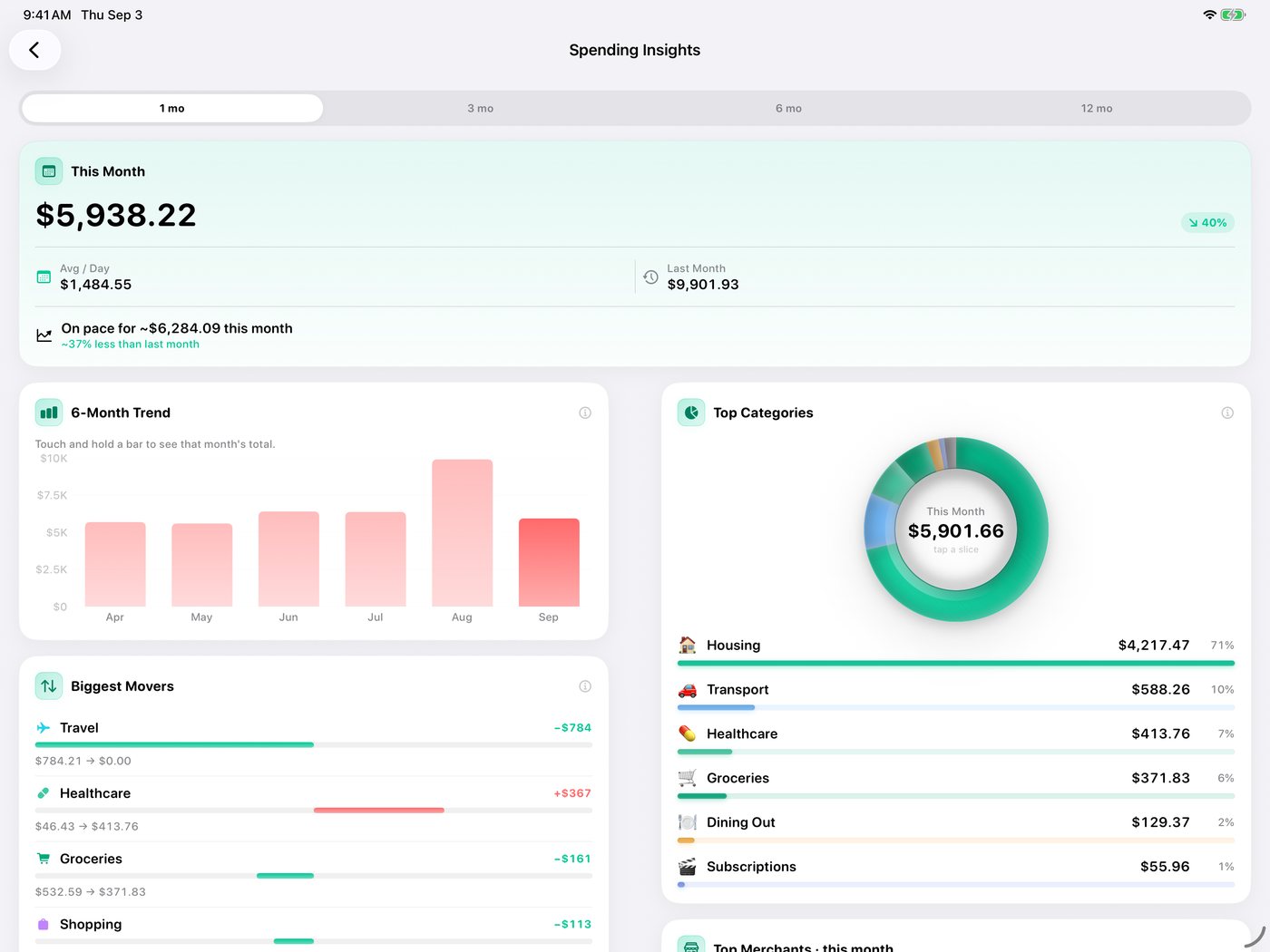 Simple Finance on iPad