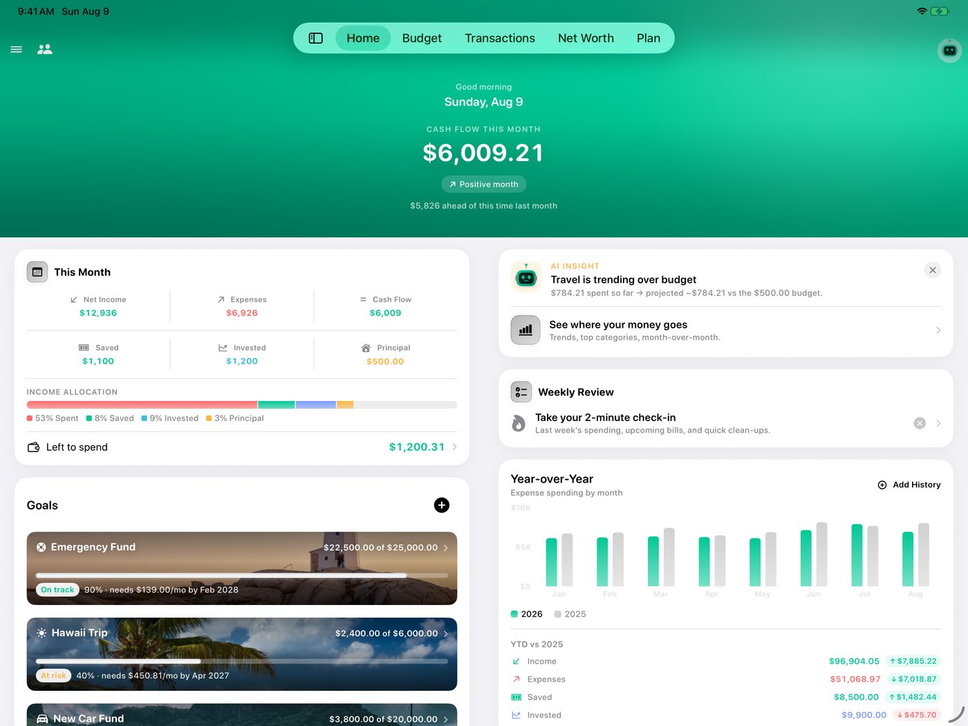 Simple Finance on iPad