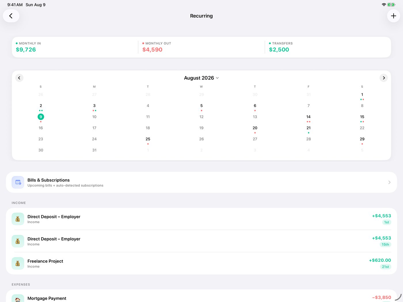 Simple Finance on iPad