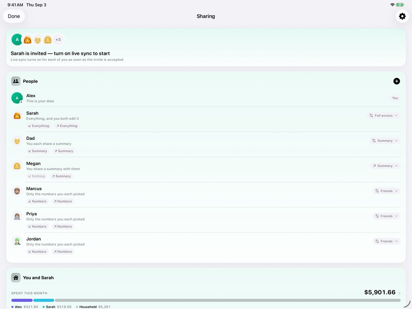 Simple Finance on iPad