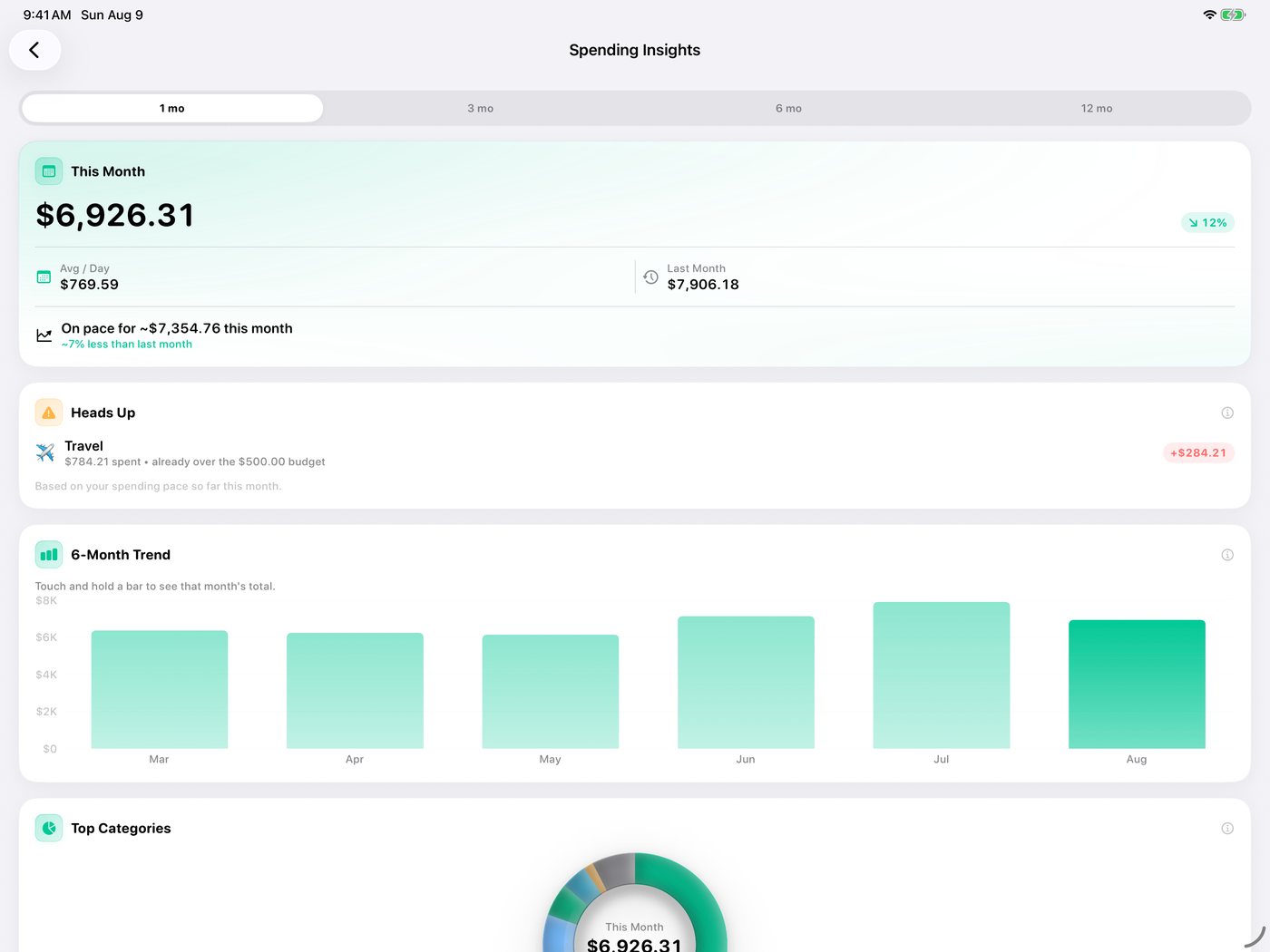 Simple Finance on iPad